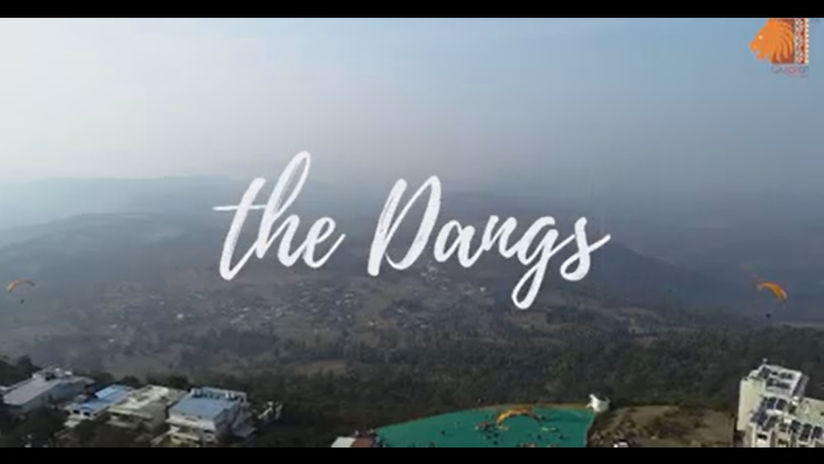 The Dangs